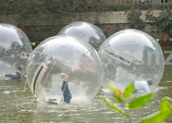 Aspetto resistente della trasparenza della bolla del gioco di divertimento TPU dello strappo gonfiabile della palla alto