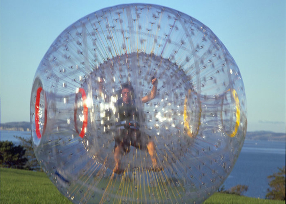 Palla umana della bolla adulti/dei bambini, palla gigante del criceto rispettosa dell'ambiente